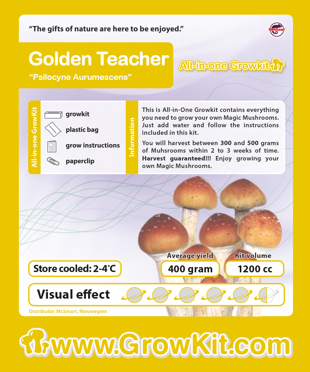 Growkit Golden teacher NEW etiket 1200cc - Seven Steps To Success And Why They Aren't Secret