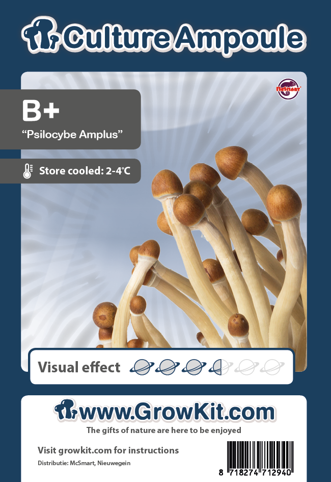 b+
