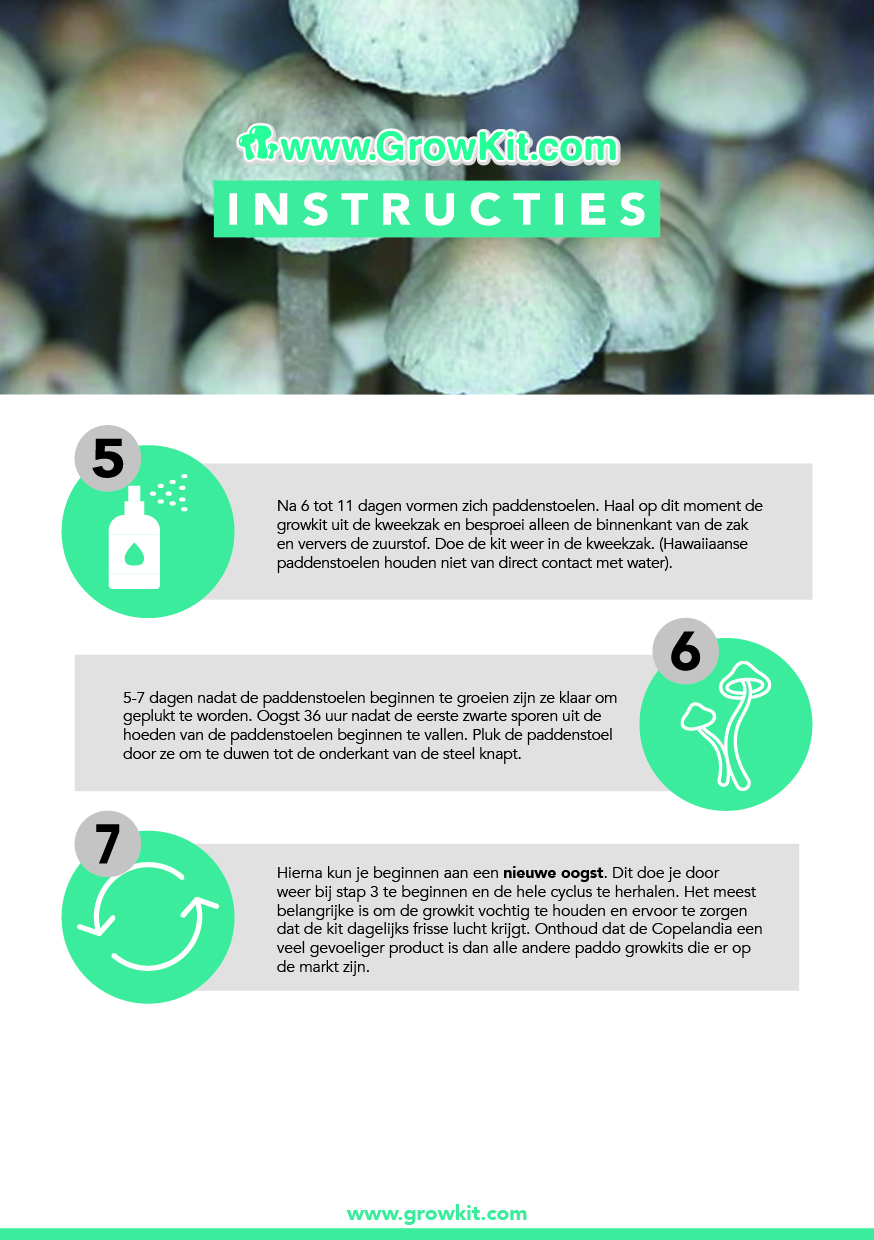 Hawaiian-GrowKit instructies achterkant