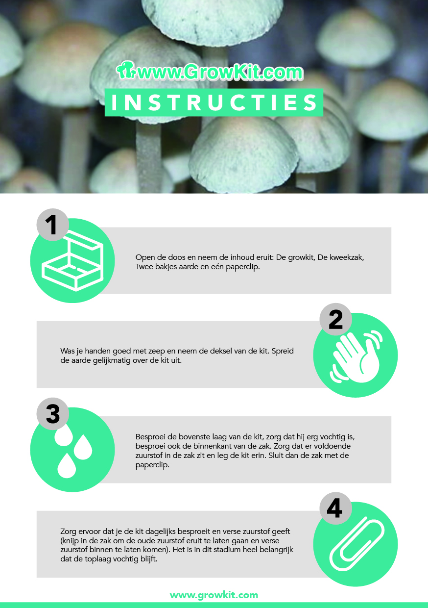 Hawaiian-GrowKit instructies voorkant