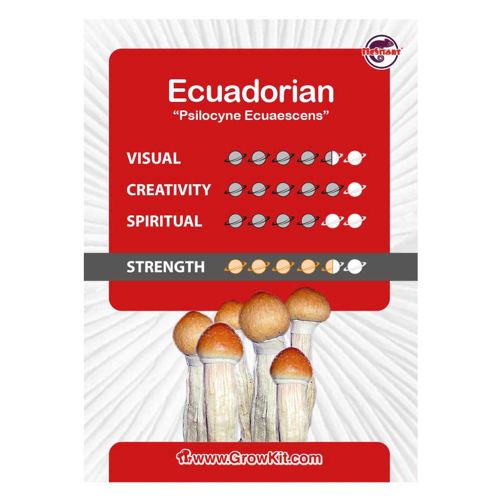 Ecuadorian