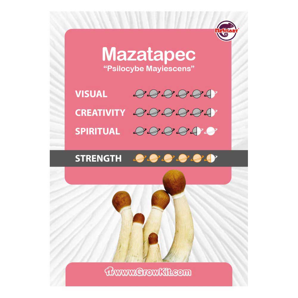 Mazatapec