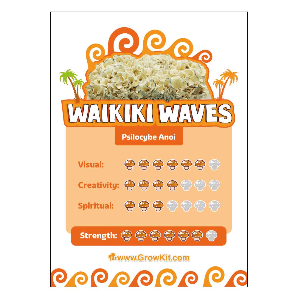 Waikiki
